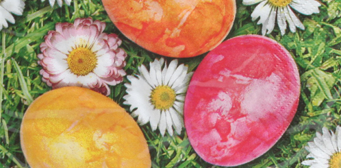 5 Servietten Blumen gezeichnet schöne Farben Serviettentechnik Motivservietten