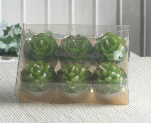 6er-Pack Dekokerze / Teelicht "Sukkulenten"