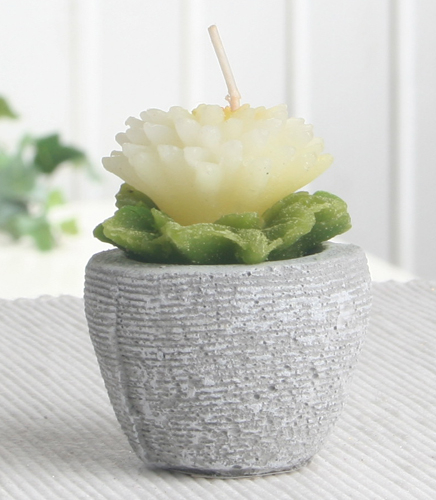 Dekokerze "Blütenzauber" im Topf, ca. 7 x 5,5 cm Ø, creme
