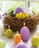 Eikerze, mittel, Größe 3, ca. 12 x 8 cm, weiß