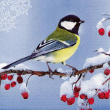 Serviette "Teta en Invierno", ti-flair