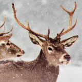 Serviette "Red Deers in Winter Scene", ti-flair