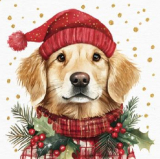 Serviette "Simon", ti-flair