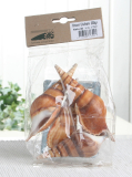 Echte Hausmuscheln "Brown Eluthani", Beutel mit 200 g