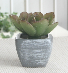 B-Ware! Dekokerze im grauen Keramiktopf Kaktus, Motiv C