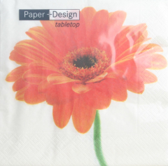 Serviette Gerbera, weiß, Paper+Design
