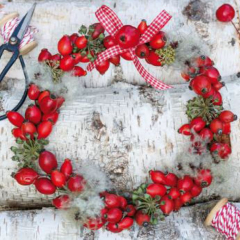 Serviette Wreath of Rose Hips, ti-flair