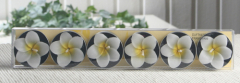 6er-Pack Duft-Teelichte "Frangipani"