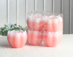 Posten 706: 1-B-Ware, 5er-Pack Schwimmkerzen "Seerose" mit Duft, Lachs